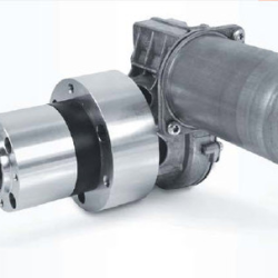 DC Motors & Gear Motors